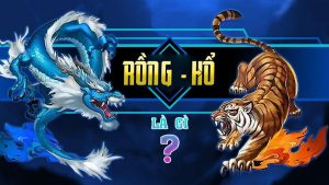 Các loại cược trong game bài Rồng Hổ Vin777